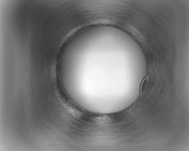 X0000071350112200607071734