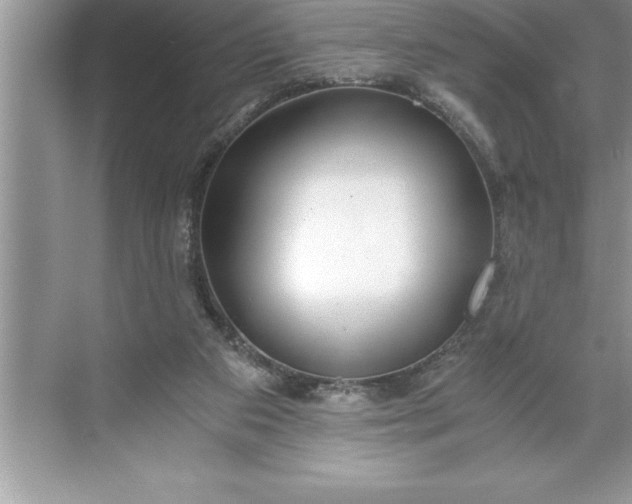 X0000071350113200607071734