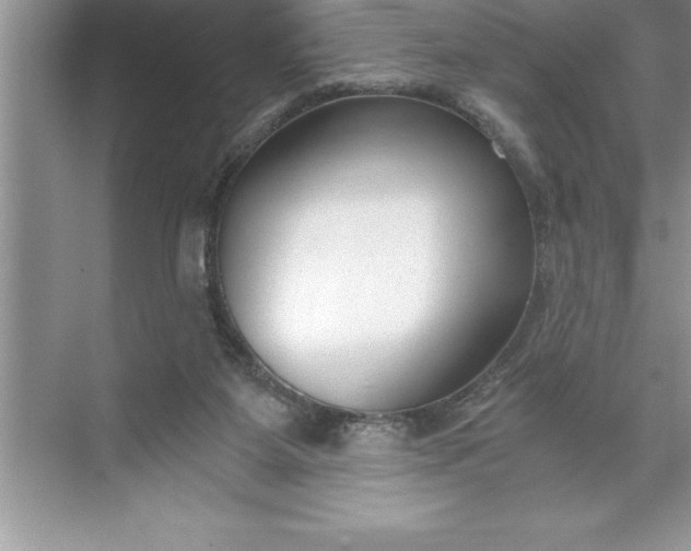 X0000071350115200607071734