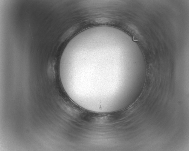 X0000071350116200607071734