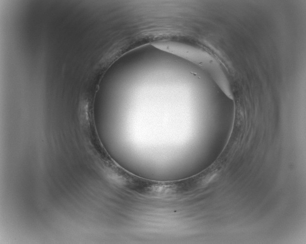 X0000071350117200607071734