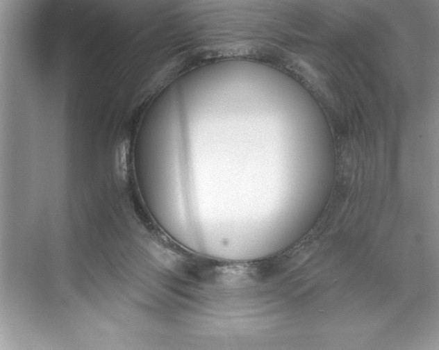 X0000071350118200607071734