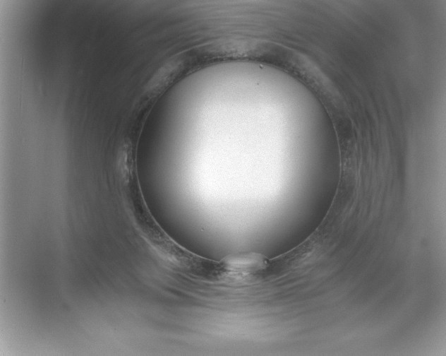 X0000071350119200607071734