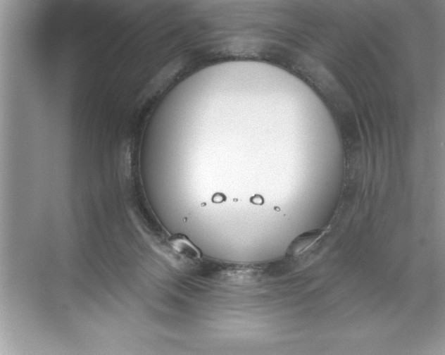 X0000071350120200607071734