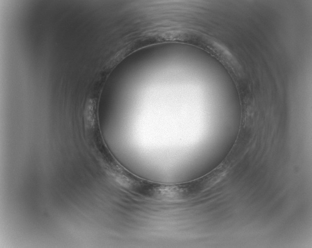 X0000071350121200607071734