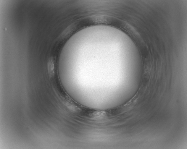 X0000071350124200607071734