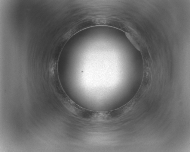 X0000071350125200607071734