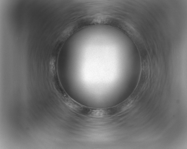 X0000071350127200607071734