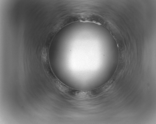 X0000071350129200607071734