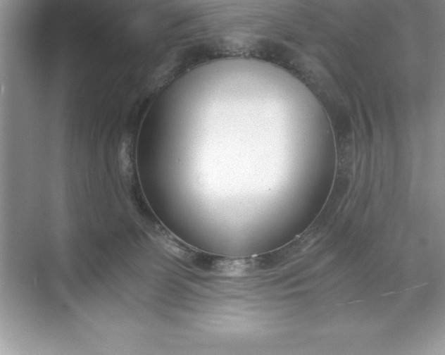 X0000071350131200607071734