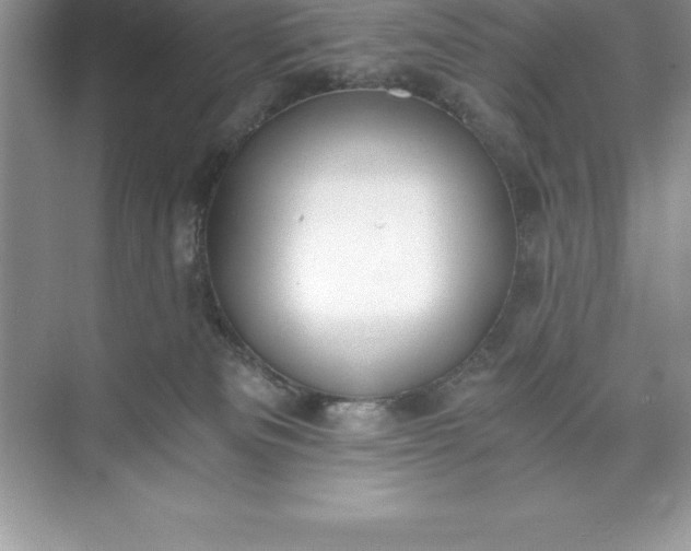 X0000071350133200607071734