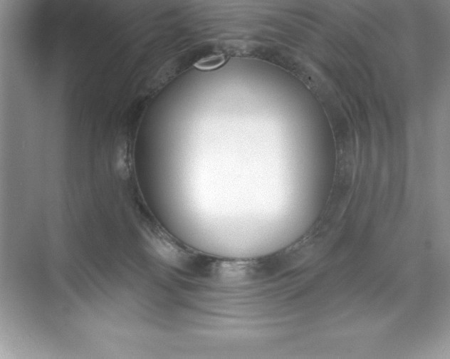 X0000071350134200607071734