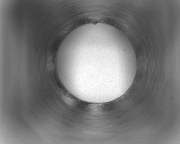 X0000071350136200607071734