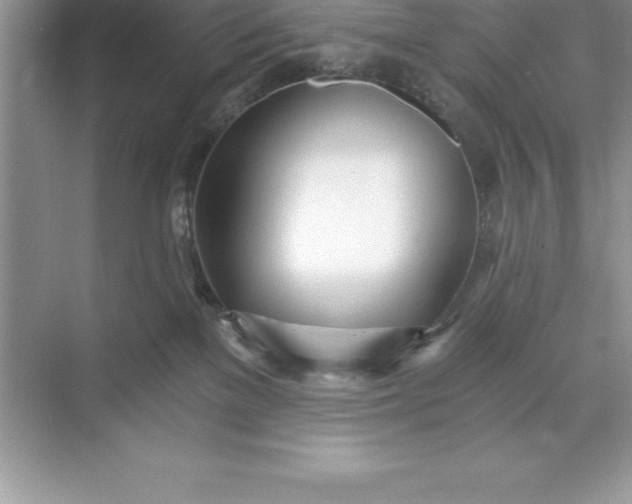 X0000071350137200607071734