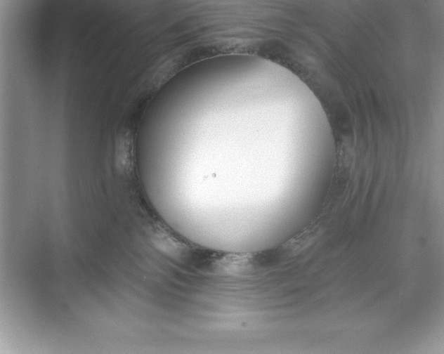 X0000071350138200607071734