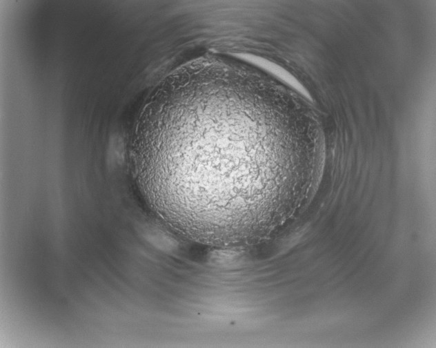 X0000071350139200607071734