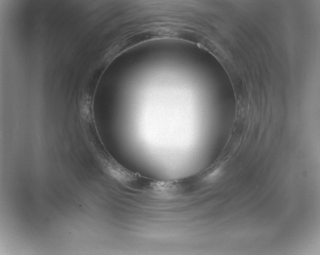 X0000071350141200607071734