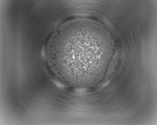 X0000071350143200607071734