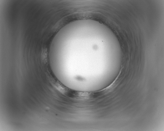 X0000071350144200607071734