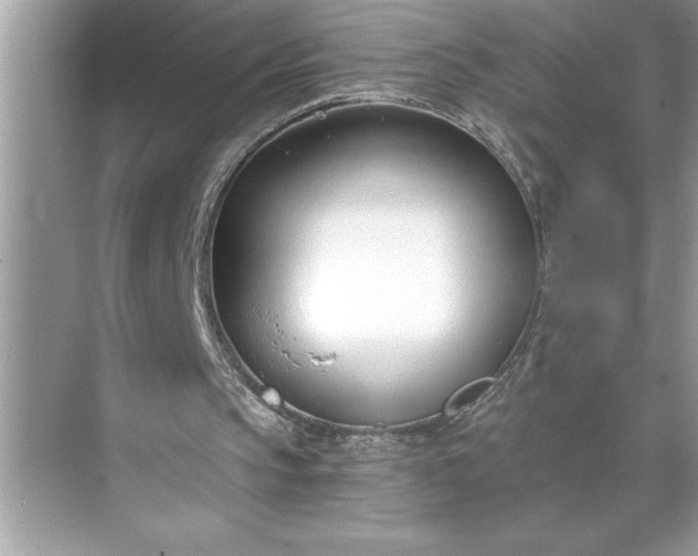 X0000071350145200607071733