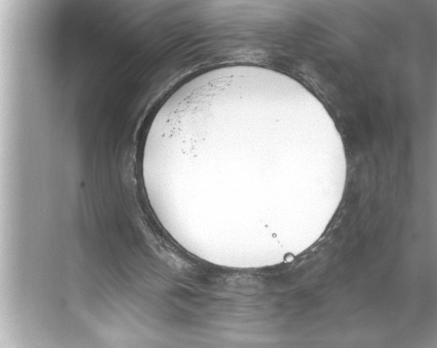 X0000071350146200607071733