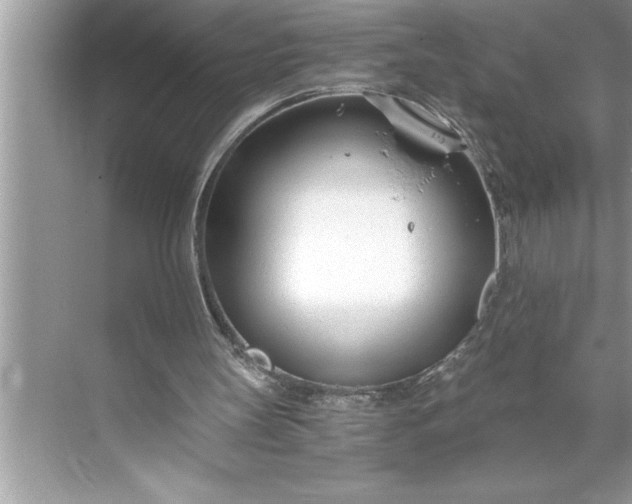 X0000071350147200607071733