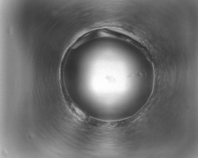 X0000071350148200607071733