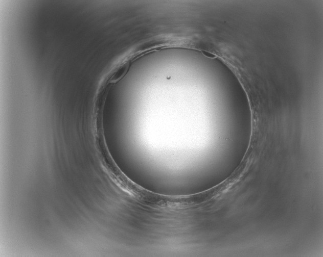 X0000071350149200607071733