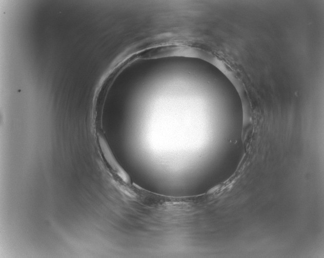 X0000071350150200607071733