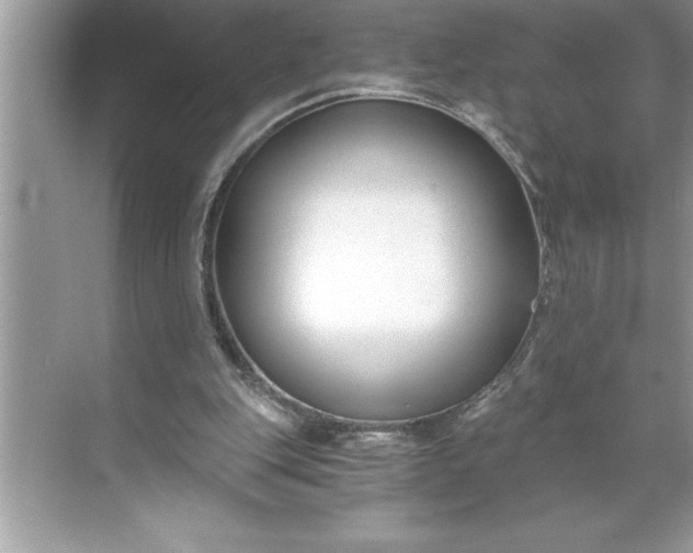 X0000071350151200607071733