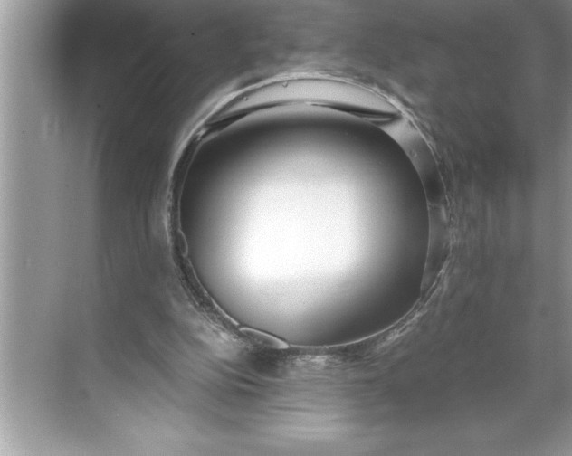 X0000071350152200607071733