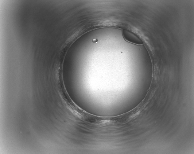 X0000071350153200607071733