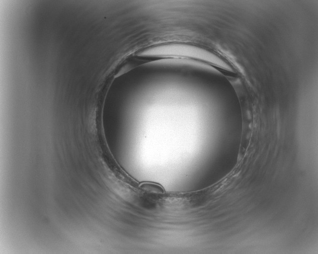 X0000071350154200607071733