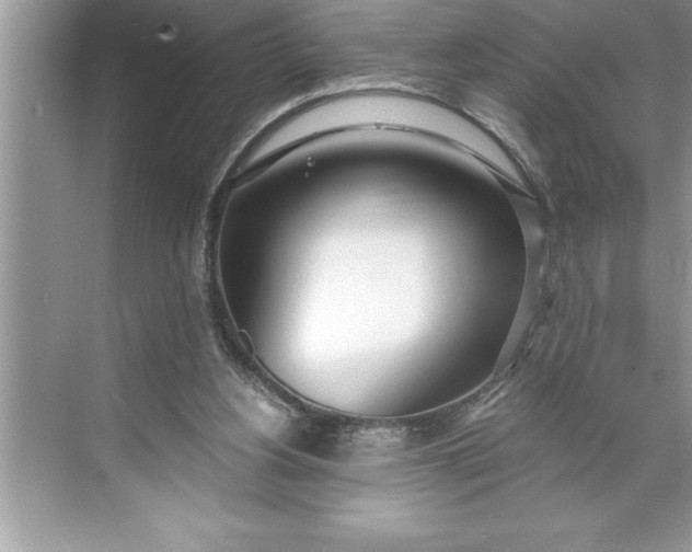 X0000071350156200607071733