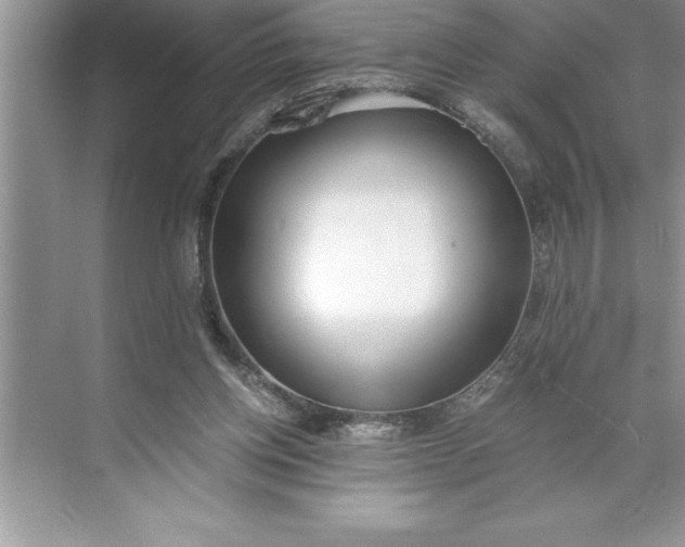 X0000071350158200607071733