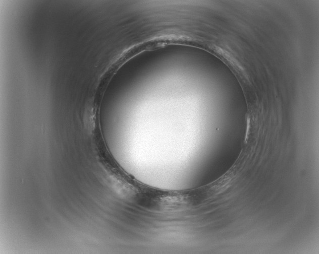 X0000071350160200607071733