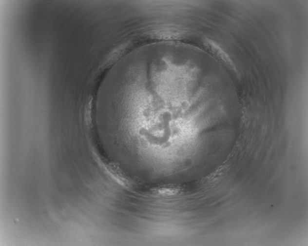 X0000071350163200607071733