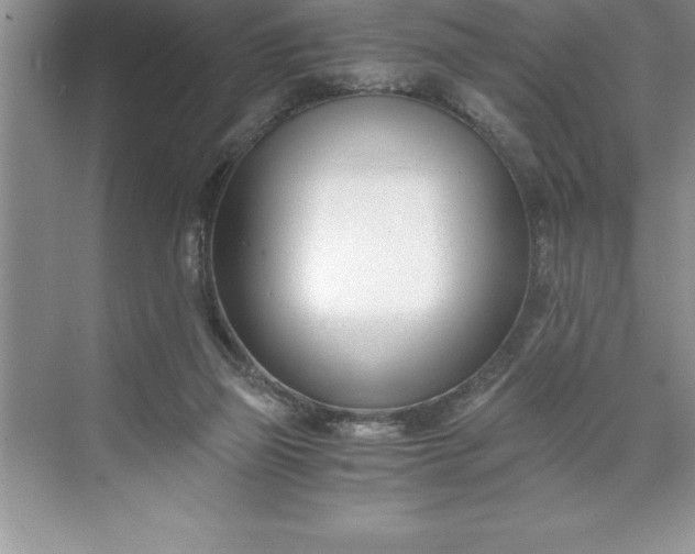 X0000071350165200607071733