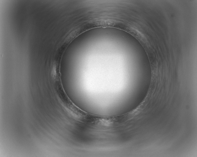 X0000071350166200607071733