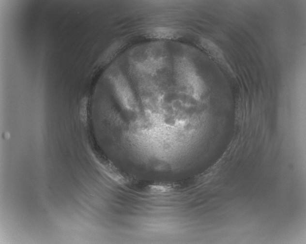 X0000071350167200607071733