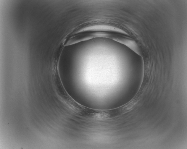 X0000071350168200607071733