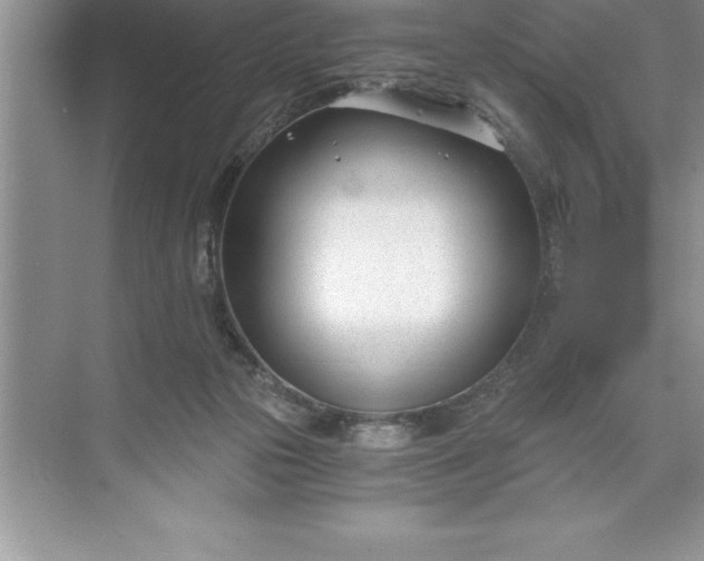 X0000071350169200607071733