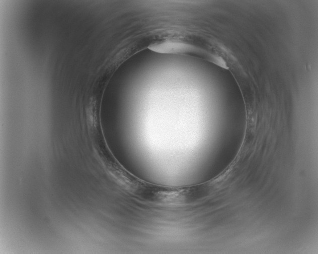 X0000071350170200607071733