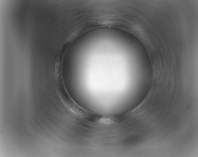 X0000071350171200607071733