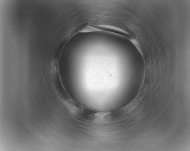 X0000071350172200607071733