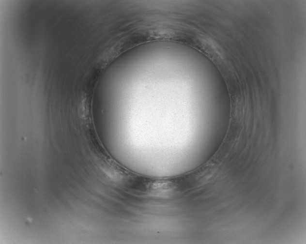 X0000071350173200607071733