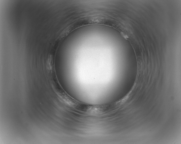 X0000071350174200607071733