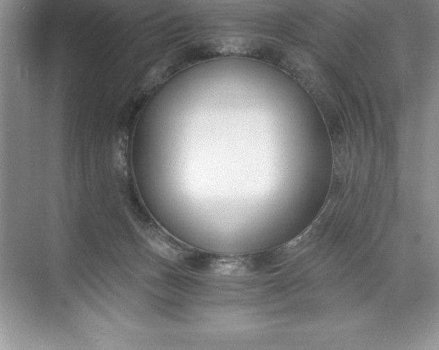 X0000071350175200607071733