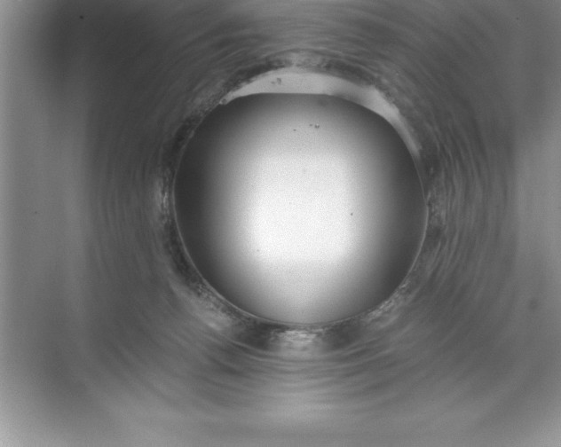 X0000071350176200607071733