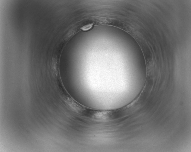 X0000071350178200607071733